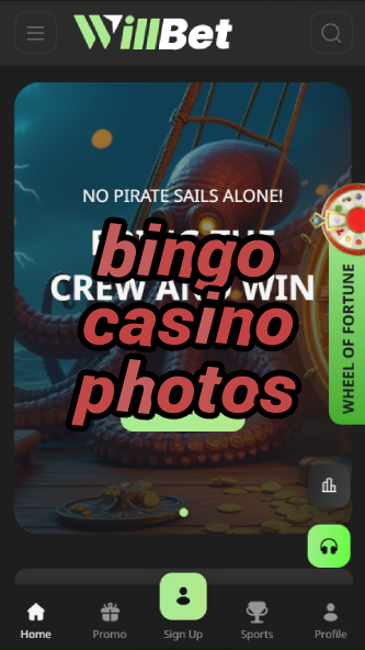 bingo casino photos-asdasdzhjkds.com
