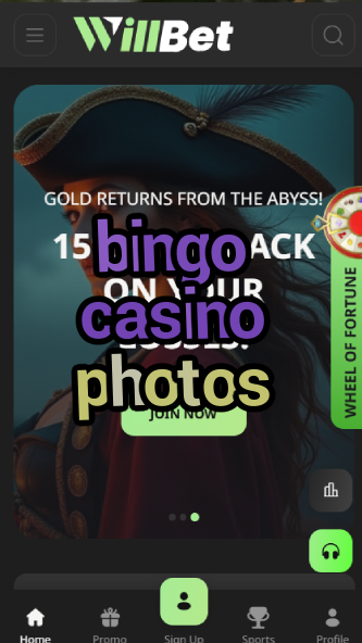 bingo casino photos-asdasdzhjkds.com