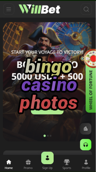 bingo casino photos-asdasdzhjkds.com